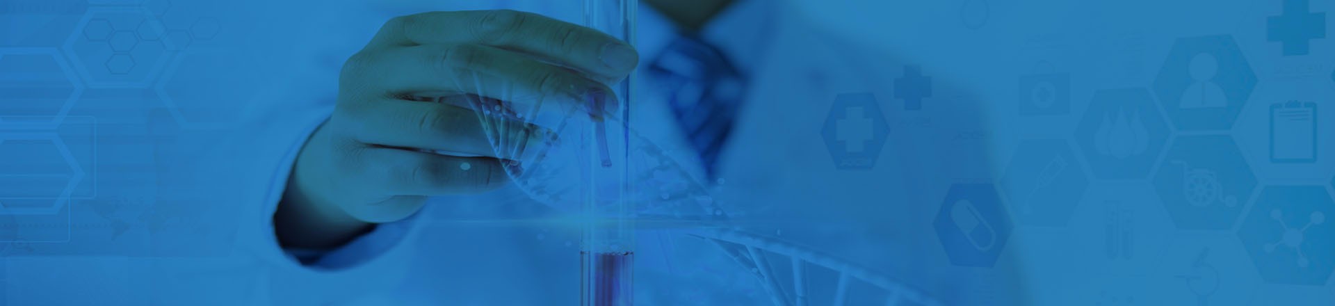 服務(wù)項(xiàng)目